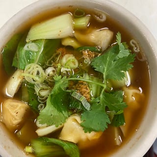 S1: Wonton Soup